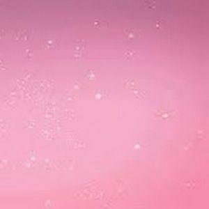 Meet your Posher, Amela